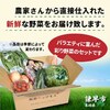 長崎県諫早市のふるさと納税返礼品　『定期便』_諫早野菜の詰め合わせ(8〜9品目程度)_全3回