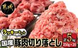 宮崎県都城市のふるさと納税返礼品　国産豚肉切り落とし5kgラッキーセット_MJ-3642_(都城市)国産豚肉切り落とし250g×20袋5kg