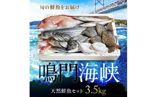 徳島県鳴門市ふるさと納税返礼品 冷凍鮮魚セット