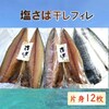 伊根町おすすめふるさと納税返礼品さば