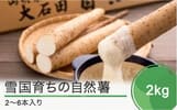 大石田町自然薯