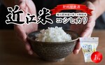 守山市おすすめふるさと納税返礼品＿近江米