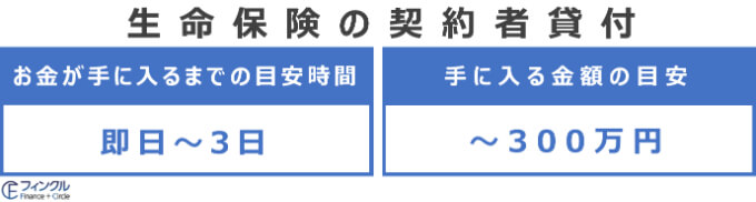 生命保険の契約者貸付で入金されるまでの時間と入金額の目安